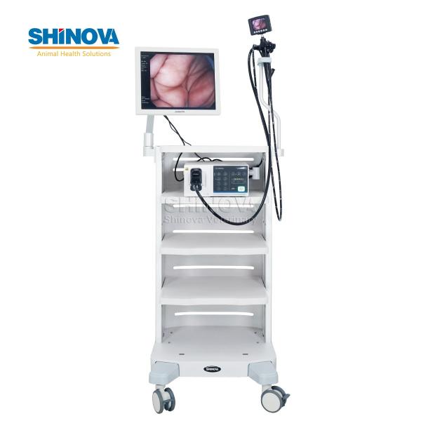 High-definition Veterinary Video Endoscope (3-Meter)