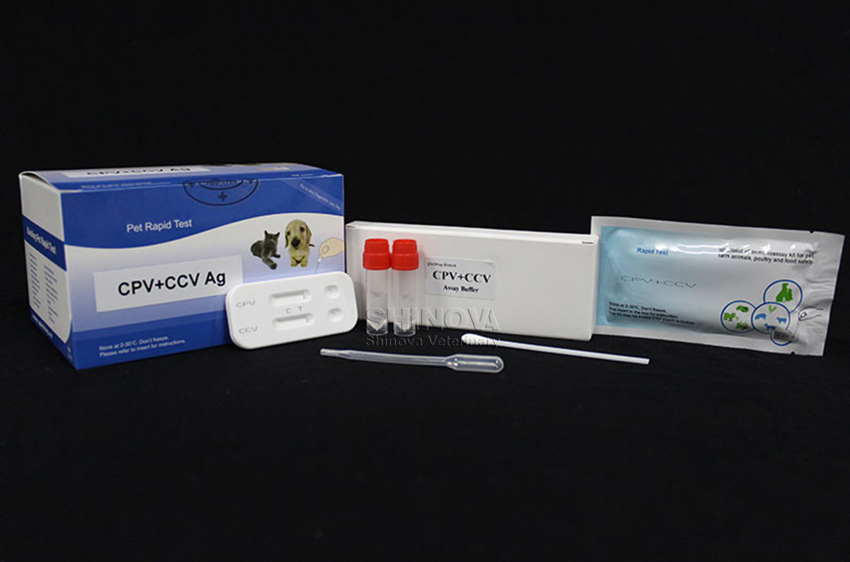 CPV+CCV Ag Combined Rapid Test