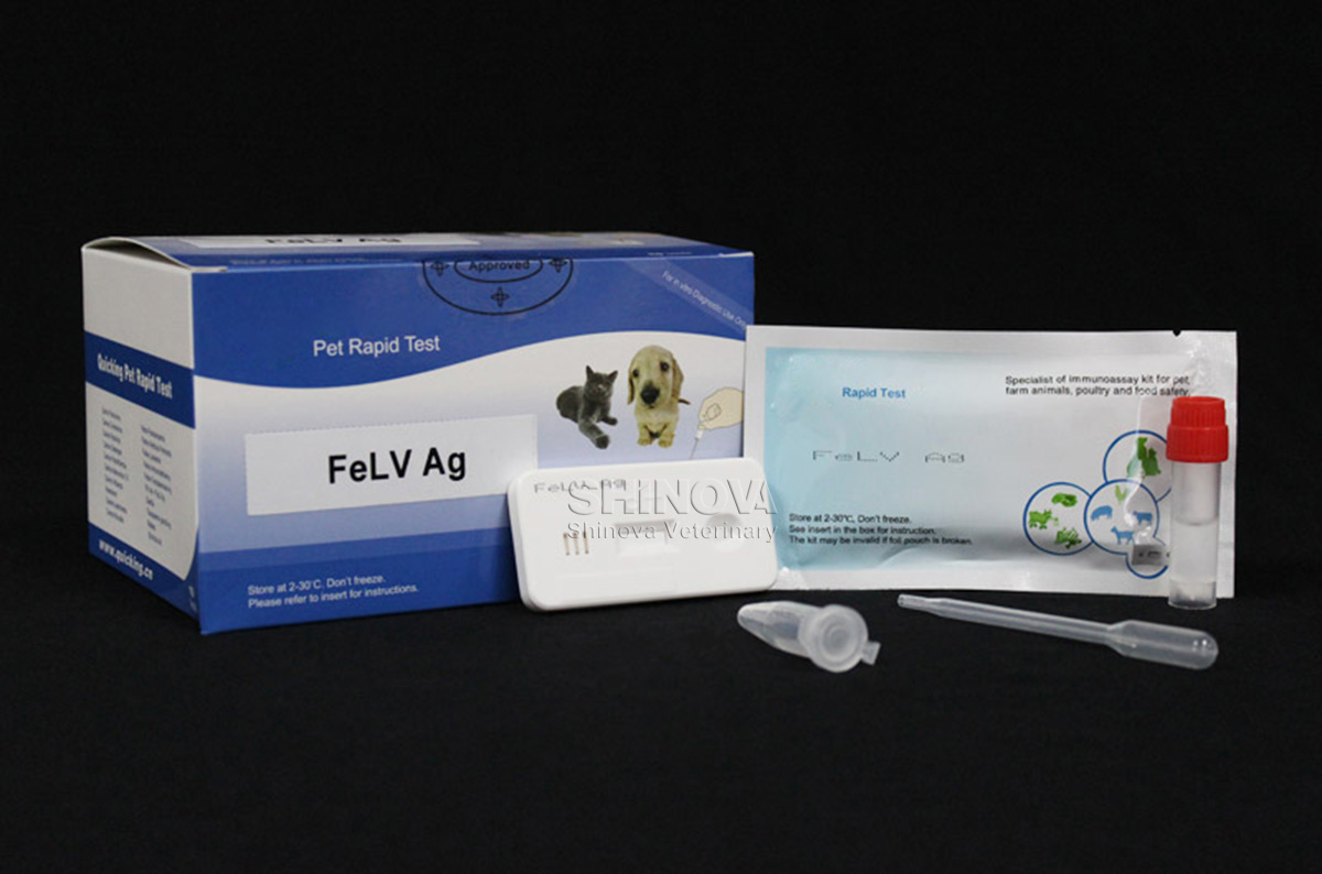 FeLV Ag Rapid Test
