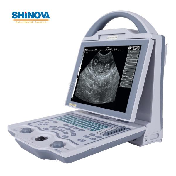 Portable Veterinary Ultrasound