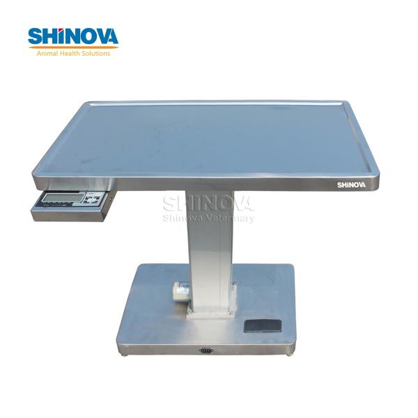 Multi-functional Electric Lifting Table With Scale