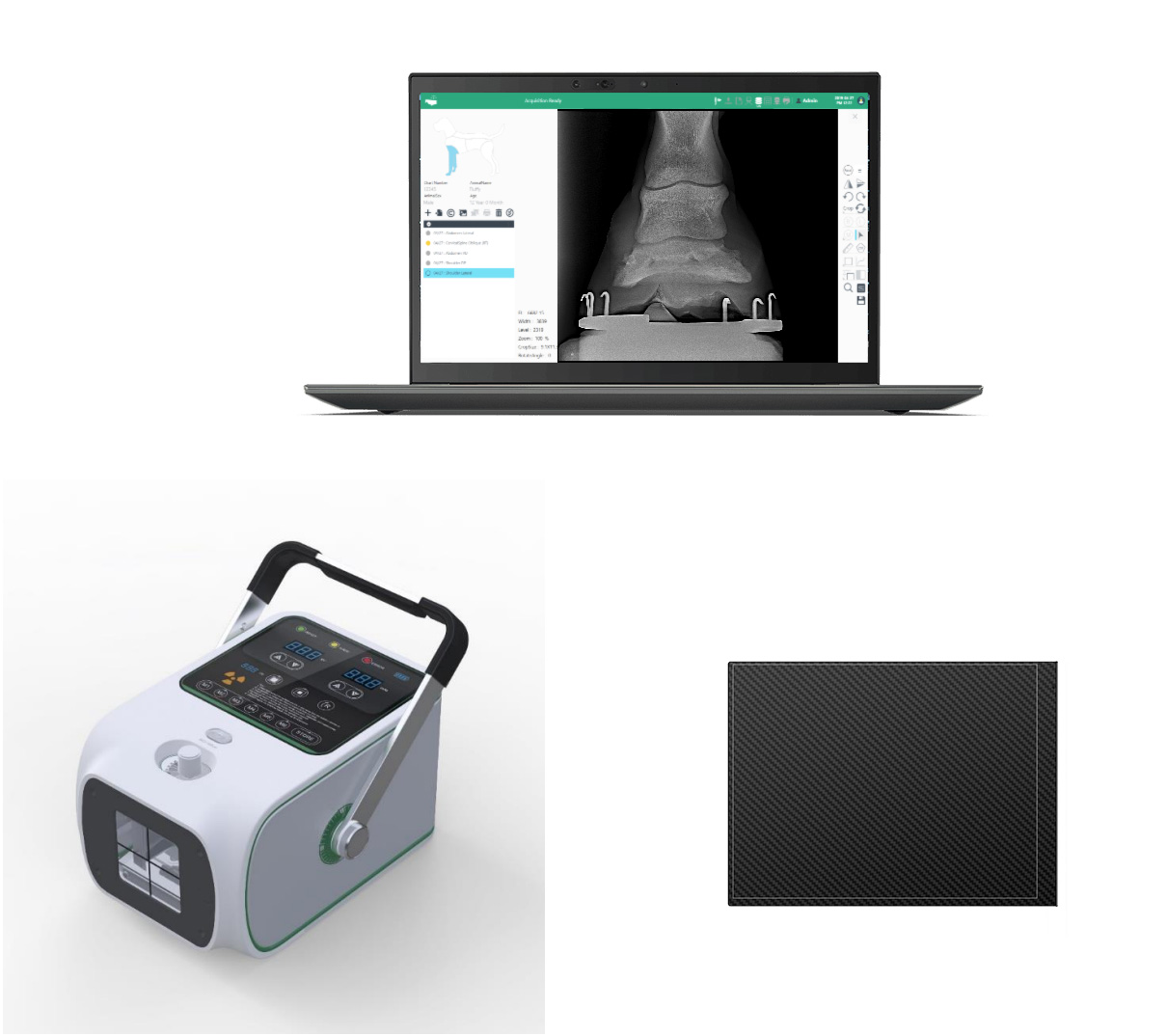 Portable Veterinary Digital X-Ray (DR) For Equine