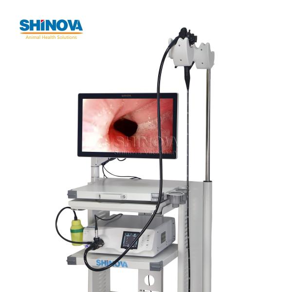 High-definition Veterinary Video Endoscope