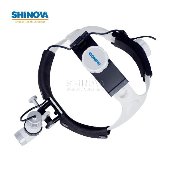 Veterinary Fiber Optic Head Light