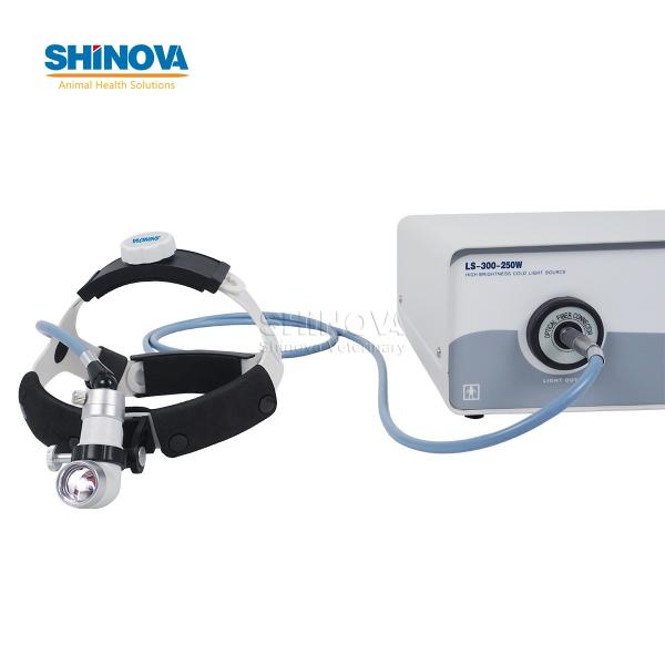 Veterinary Fiber Optic Head Light
