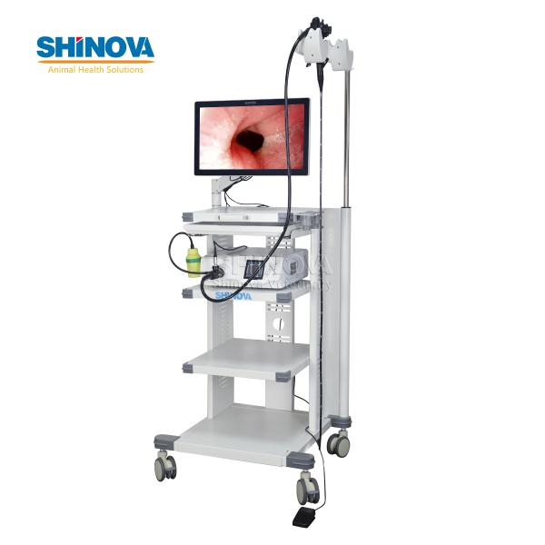 1.2-Meter Veterinary Endoscopy Tower System