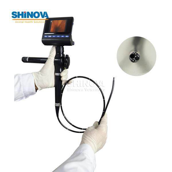 Mobile High-definition Veterinary Video Endoscope (1-Meter)
