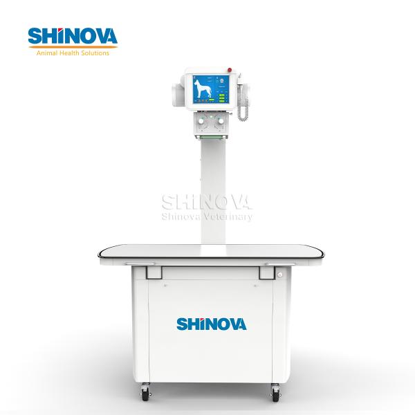 320mA Stationary Veterinary Digital X-Ray (DR)