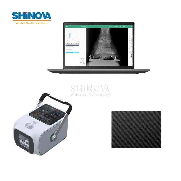 Portable Veterinary Digital X-Ray (DR) For Equine