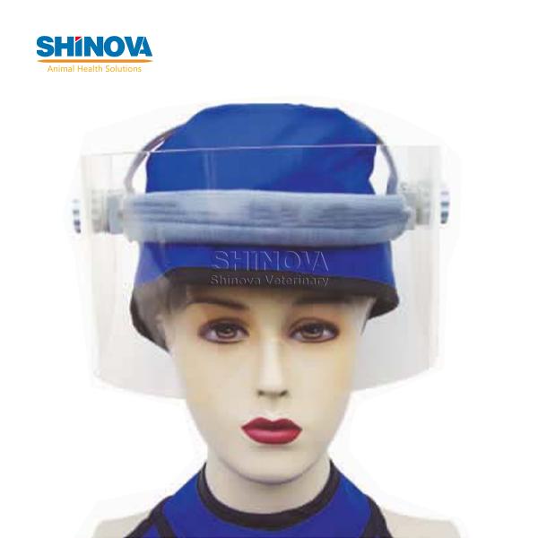 Protective Mask