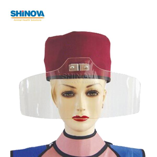 X-Ray Lead Mask