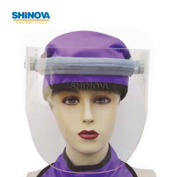 Protective Mask
