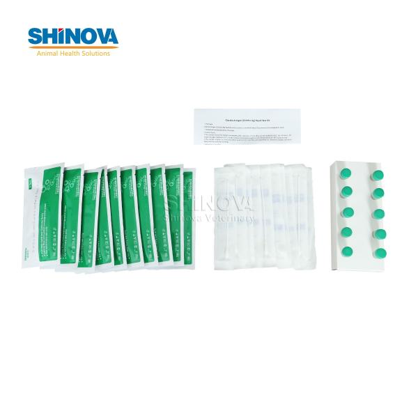 Giardia Ag Rapid Test