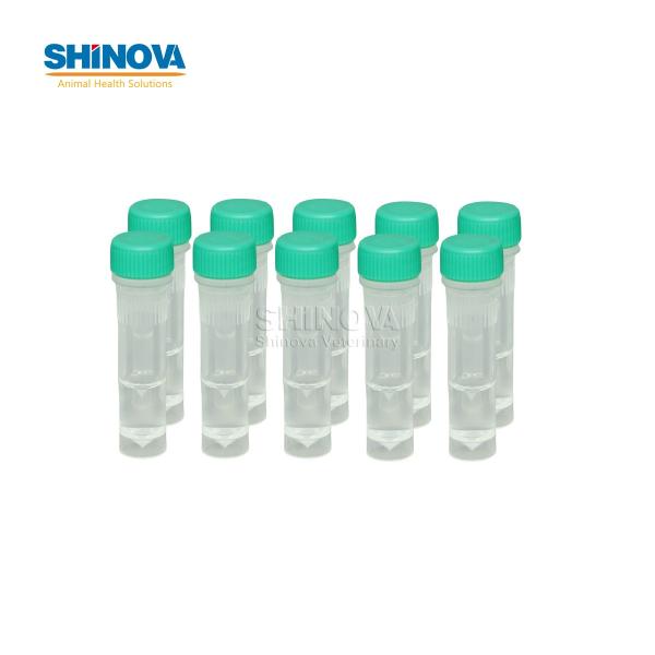 Giardia Ag Rapid Test