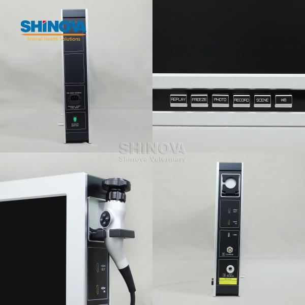 26-inch Mobile High-definition Endoscopic Imaging System