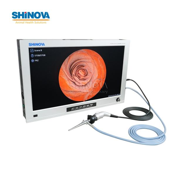 26-inch Mobile High-definition Endoscopic Imaging System