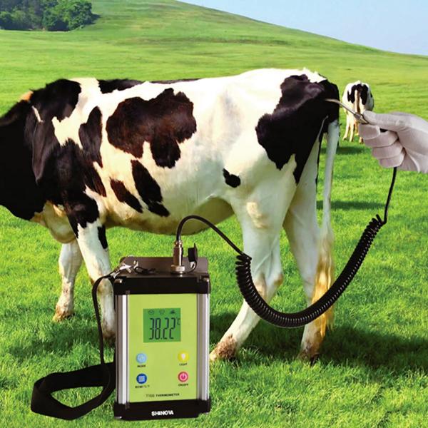 Veterinary Thermometer