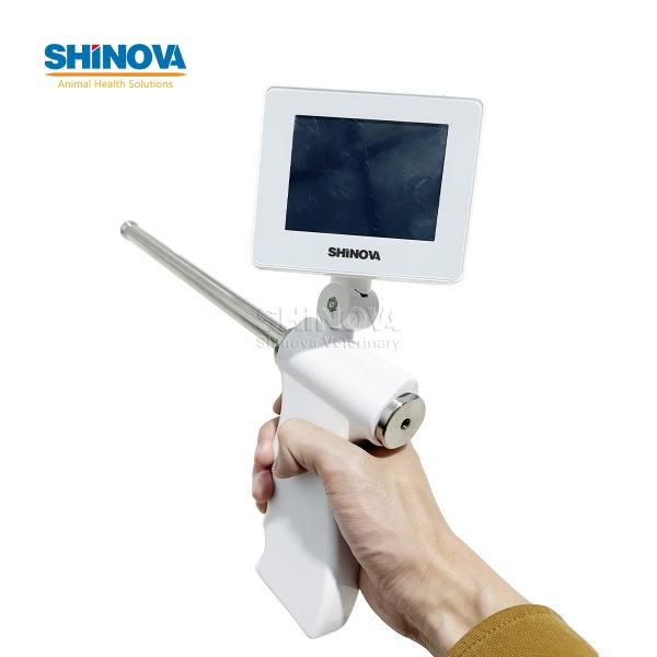 Visual Insemination Gun for Sheep