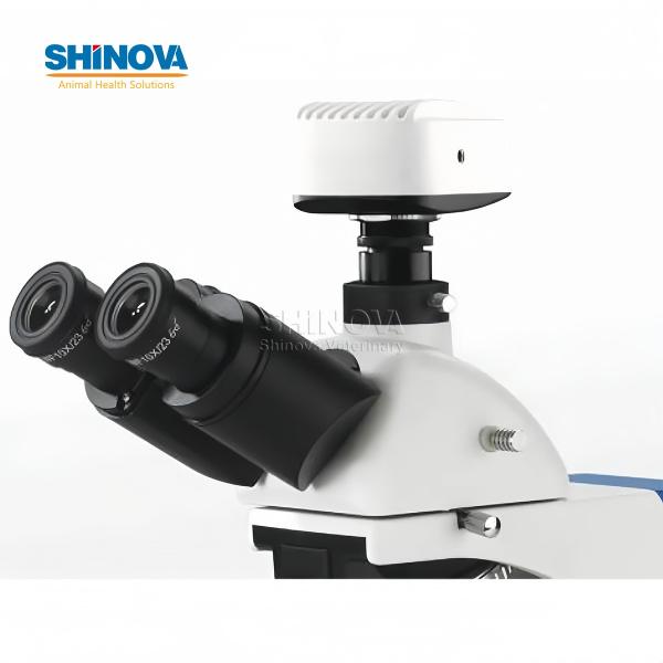 Biological Microscope Fluorescence Microscope
