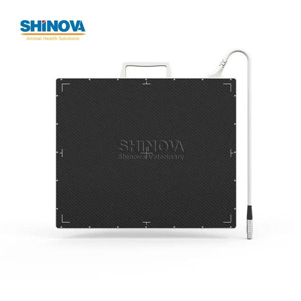 X-Ray Flat Panel Detector