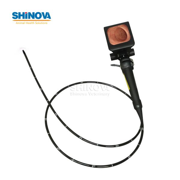 Veterinary Bronchoscope Portable HD Veterinary Video Endoscope with 4
