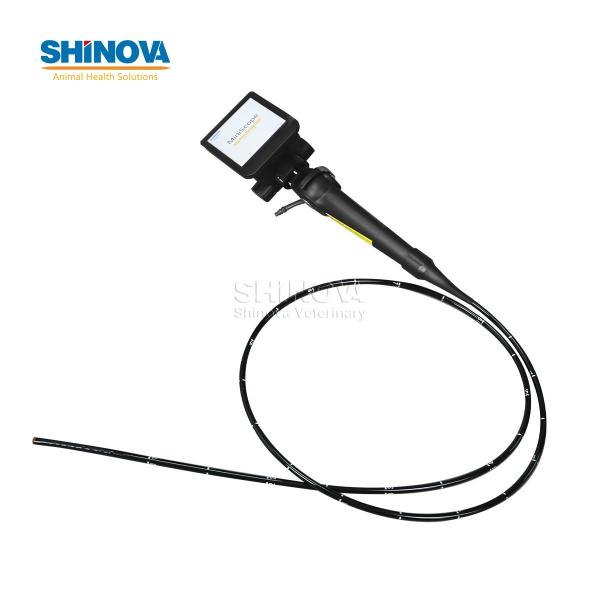 Veterinary Bronchoscope Portable HD Veterinary Video Endoscope with 4