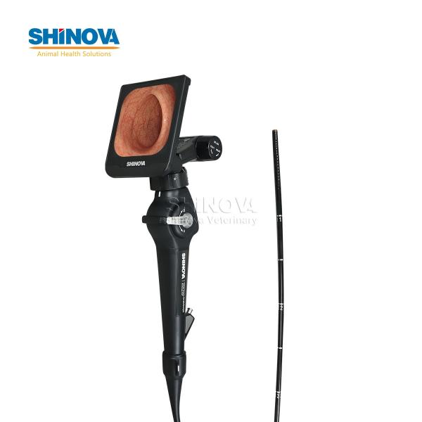 Veterinary Bronchoscope Portable HD Veterinary Video Endoscope with 4