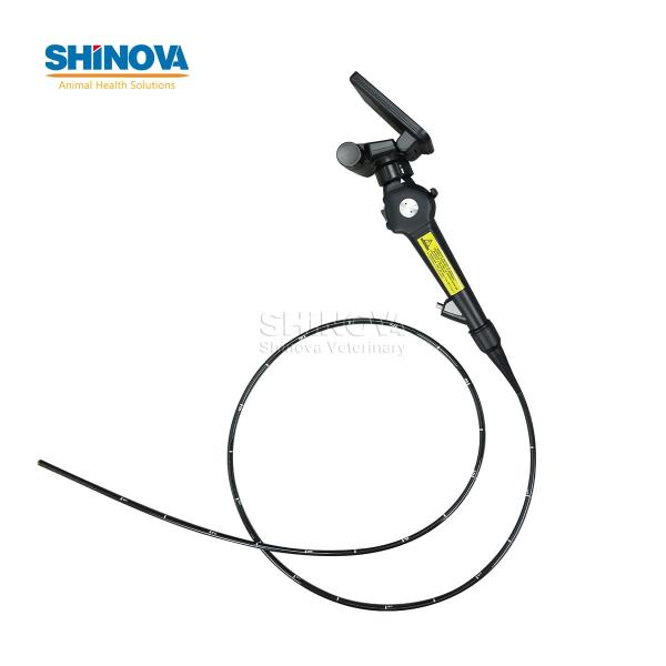 Veterinary Bronchoscope Portable HD Veterinary Video Endoscope with 4