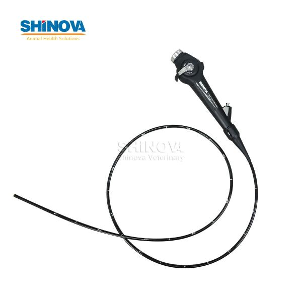 Veterinary Bronchoscope Portable HD Veterinary Video Endoscope with 4
