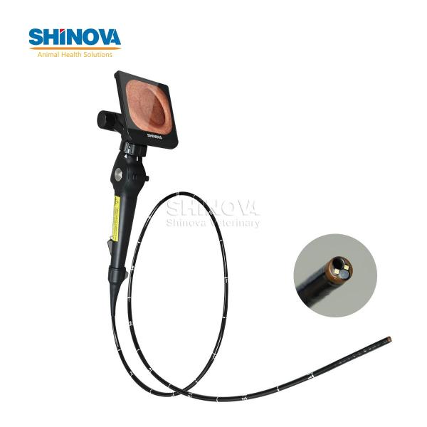 Veterinary Bronchoscope Portable HD Veterinary Video Endoscope with 4