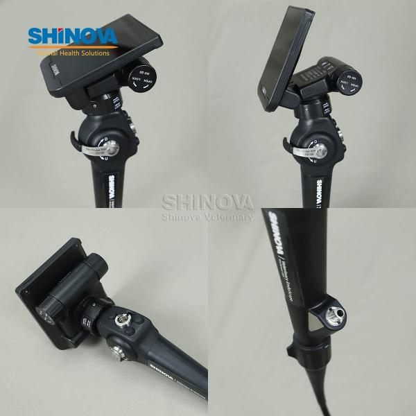Veterinary Bronchoscope Portable HD Veterinary Video Endoscope with 4