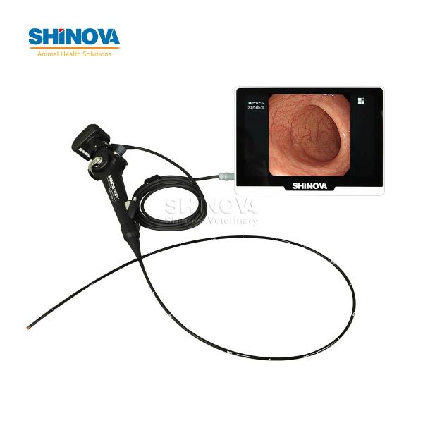 Veterinary Bronchoscope（2.8mm）