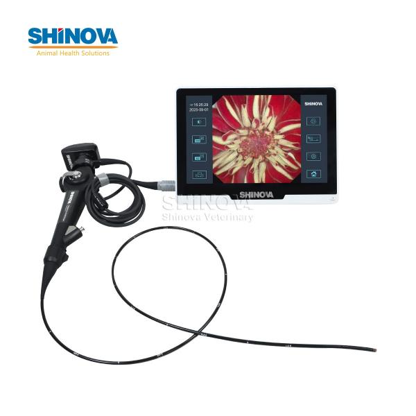 Veterinary Bronchoscope（3.8mm）