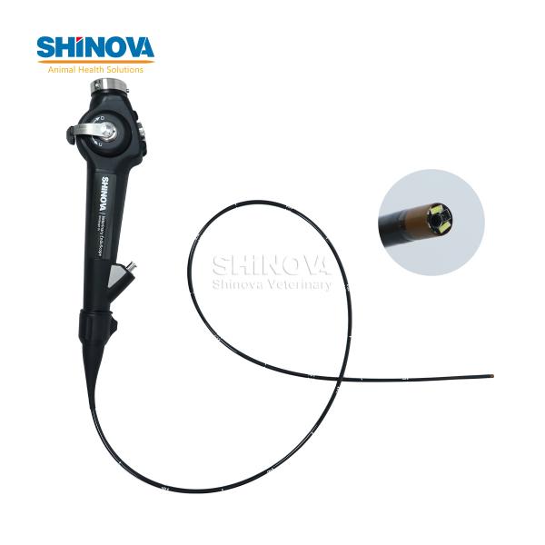 Veterinary Bronchoscope（3.8mm）