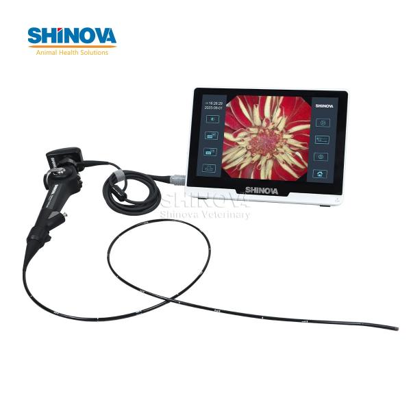 Veterinary Bronchoscope（3.8mm）