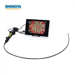 Veterinary Bronchoscope Mobile Veterinary Video Endoscope with 10