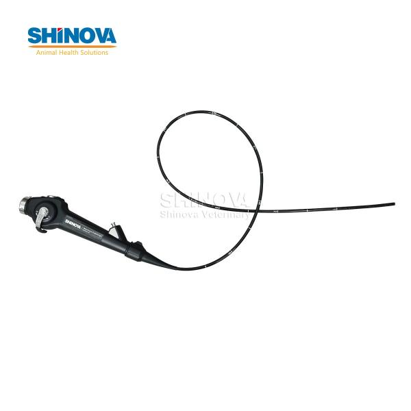Veterinary Bronchoscope Mobile Veterinary Video Endoscope with 10