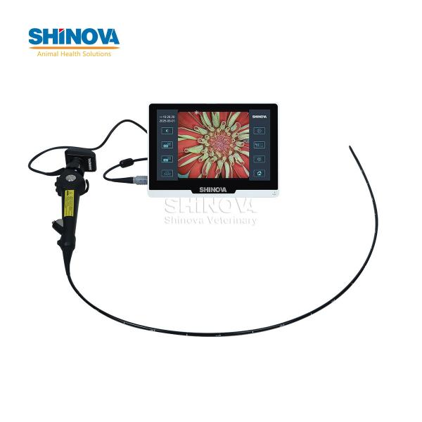 Veterinary Bronchoscope Mobile Veterinary Video Endoscope with 10