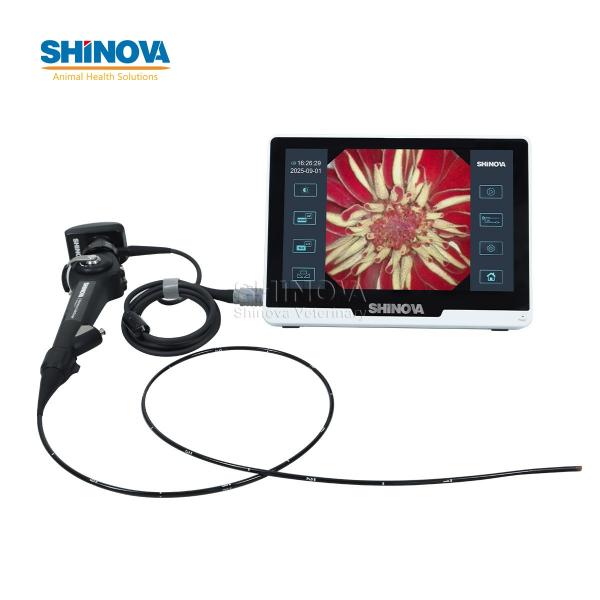 Veterinary Bronchoscope（3.8mm）