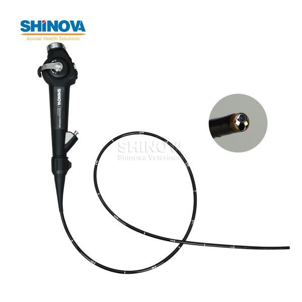 Veterinary Bronchoscope Mobile Veterinary Video Endoscope with 10