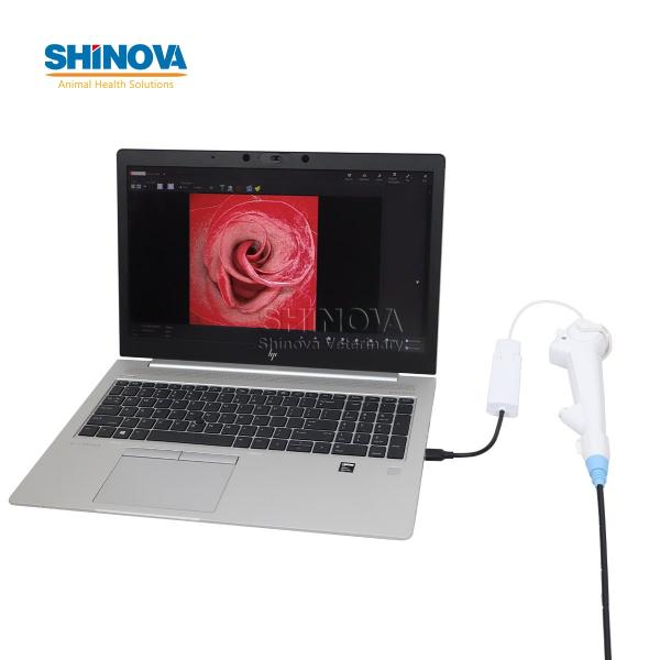 Veterinary Disposable Flexible Endoscope