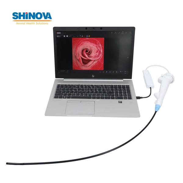 Veterinary Disposable Flexible Endoscope