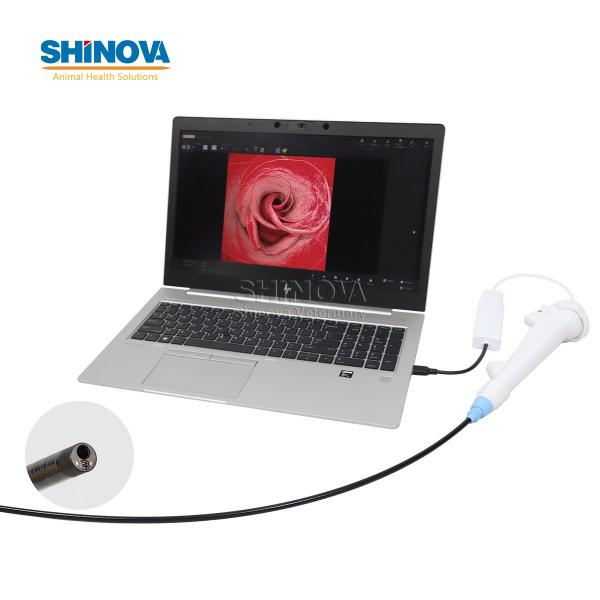 Veterinary Disposable Flexible Endoscope