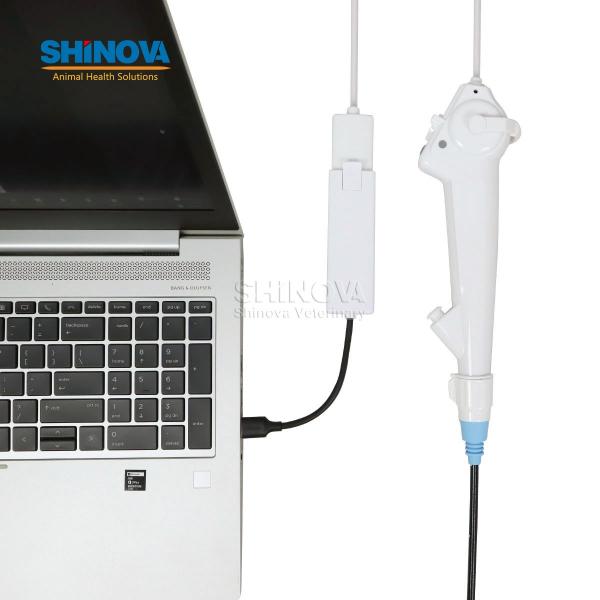 Veterinary Disposable Flexible Endoscope