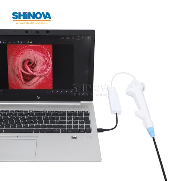 Veterinary Disposable Flexible Endoscope