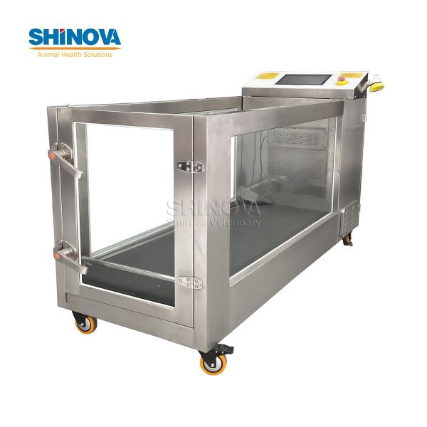 Pet Hydrotherapy Treadmill