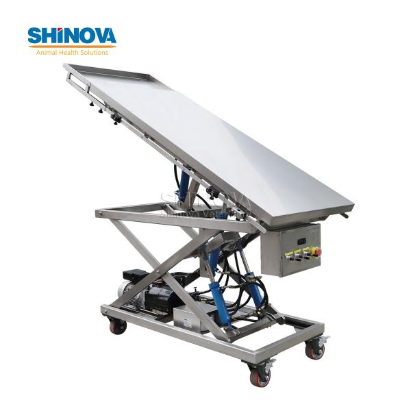 Large Animal Surgical Table for Sea Turtle