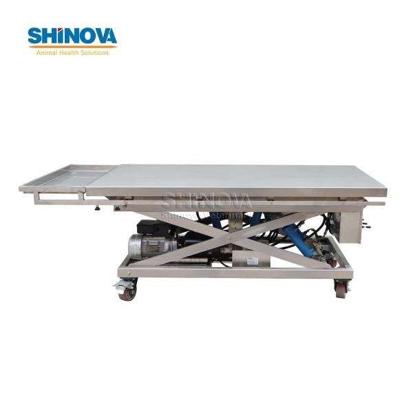Large Animal Surgical Table for Sea Turtle