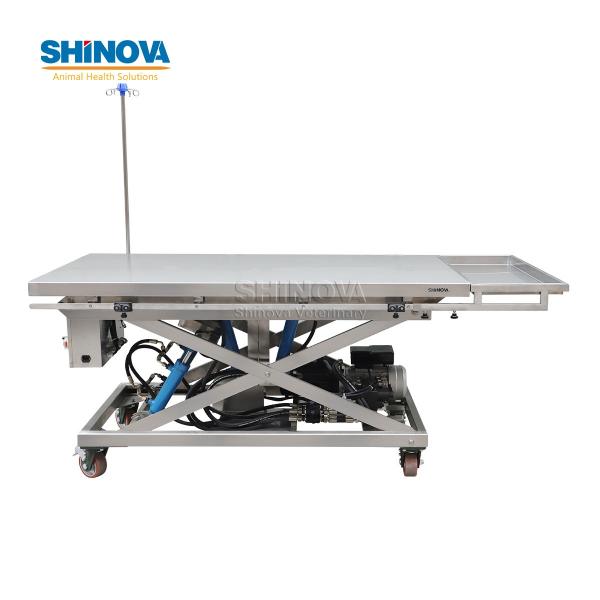 Large Animal Surgical Table for Sea Turtle