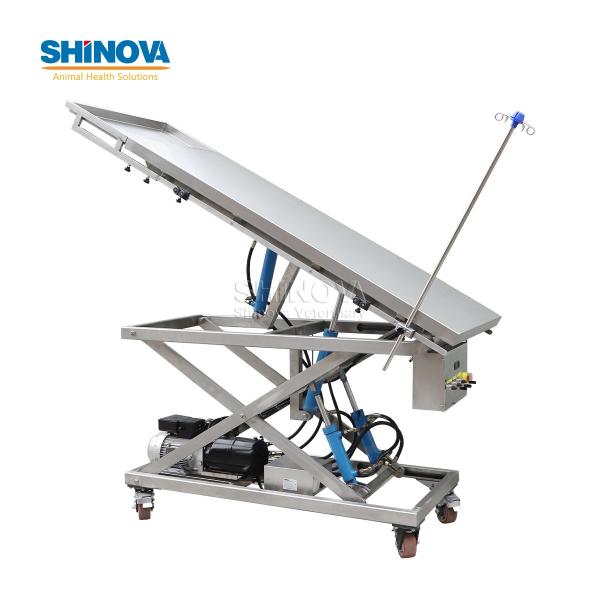 Large Animal Surgical Table for Sea Turtle